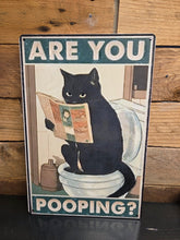 Load image into Gallery viewer, Fun Tin Sign