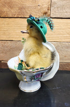 Load image into Gallery viewer, Spring Chick
