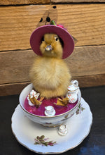 Load image into Gallery viewer, Spring Chick