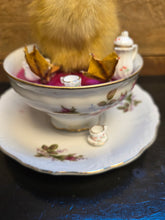 Load image into Gallery viewer, Spring Chick