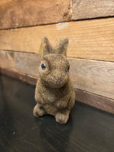 Load image into Gallery viewer, Bunny Coin Bank
