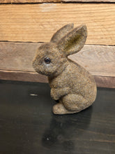 Load image into Gallery viewer, Bunny Coin Bank
