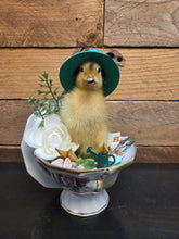 Load image into Gallery viewer, Spring Chick
