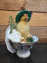 Load image into Gallery viewer, Spring Chick
