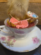 Load image into Gallery viewer, Spring Chick
