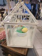 Load image into Gallery viewer, Terrarium
